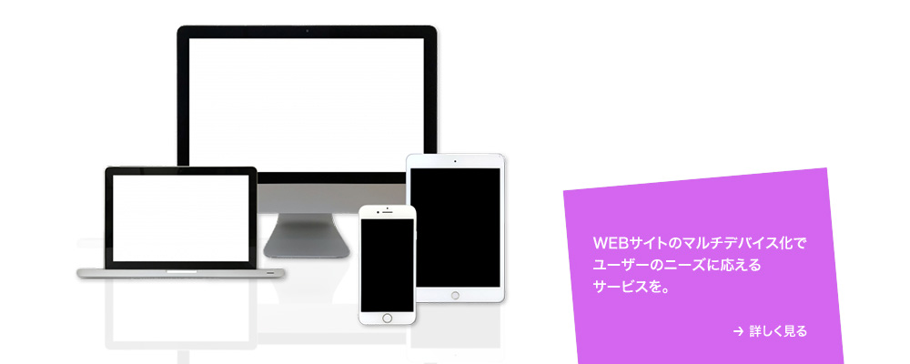 ウェブシステム開発